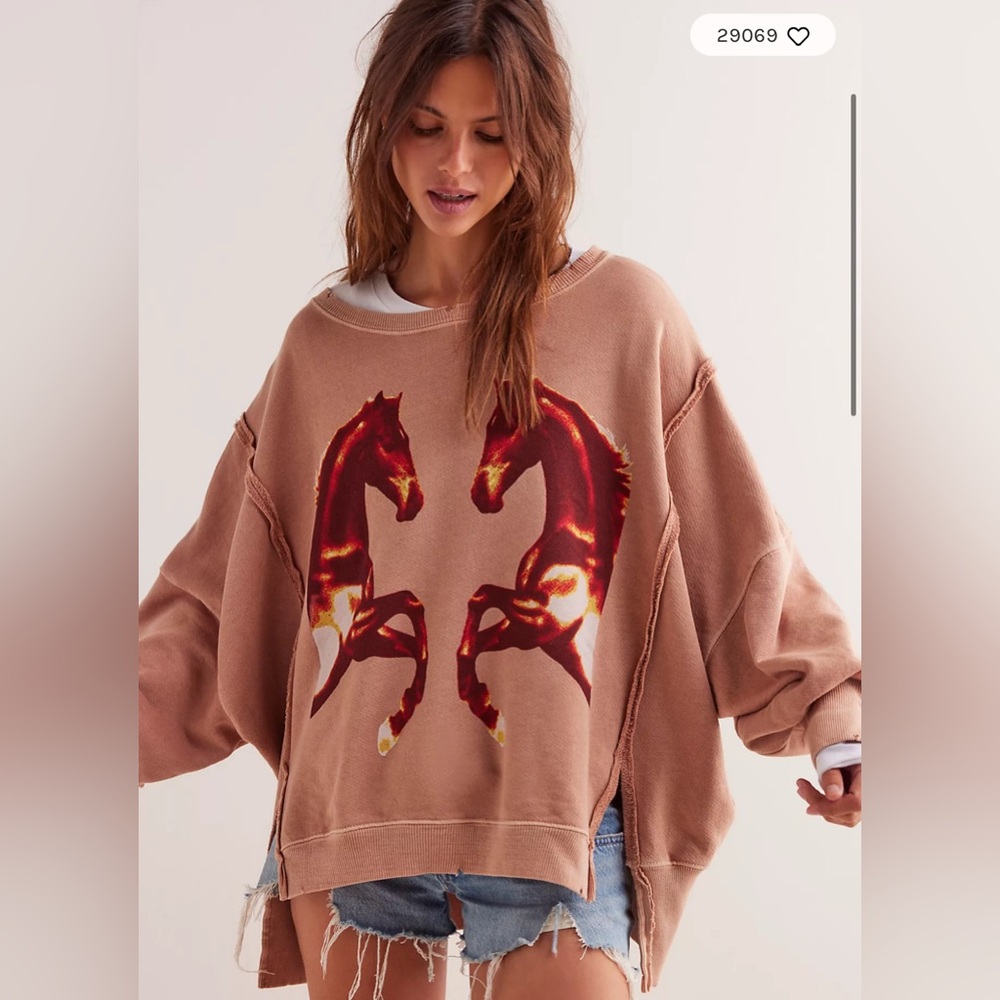 NWOT Free People Graphic Camden pullover